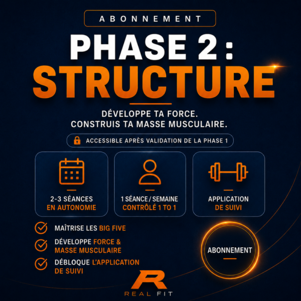 PHASE 2 | STRUCTURE : Développer la Force et les Muscles